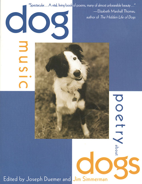 dog music cover