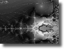 Winter Sky (gray scale)